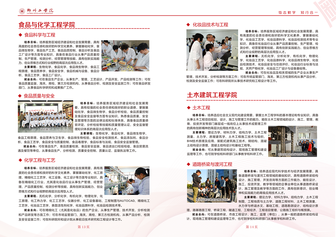 2023招生简章画册曲线