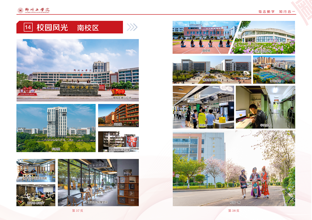 2023招生简章画册曲线