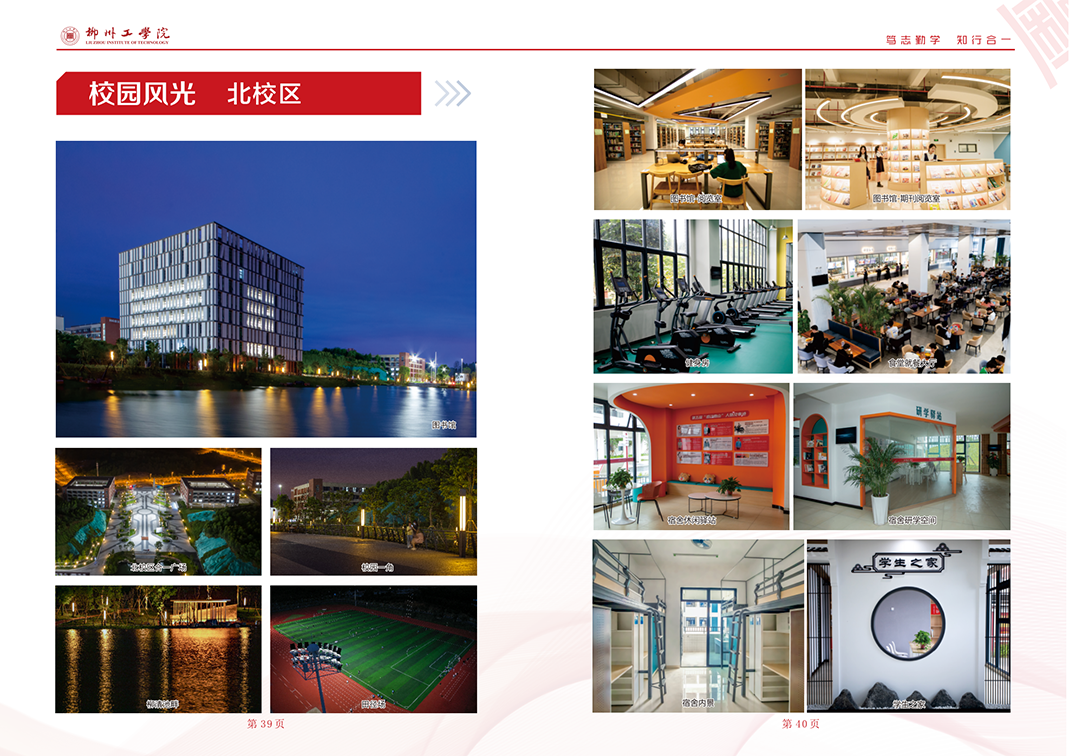 2023招生简章画册曲线