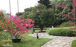 文化标识：校名题写 / 校徽设计