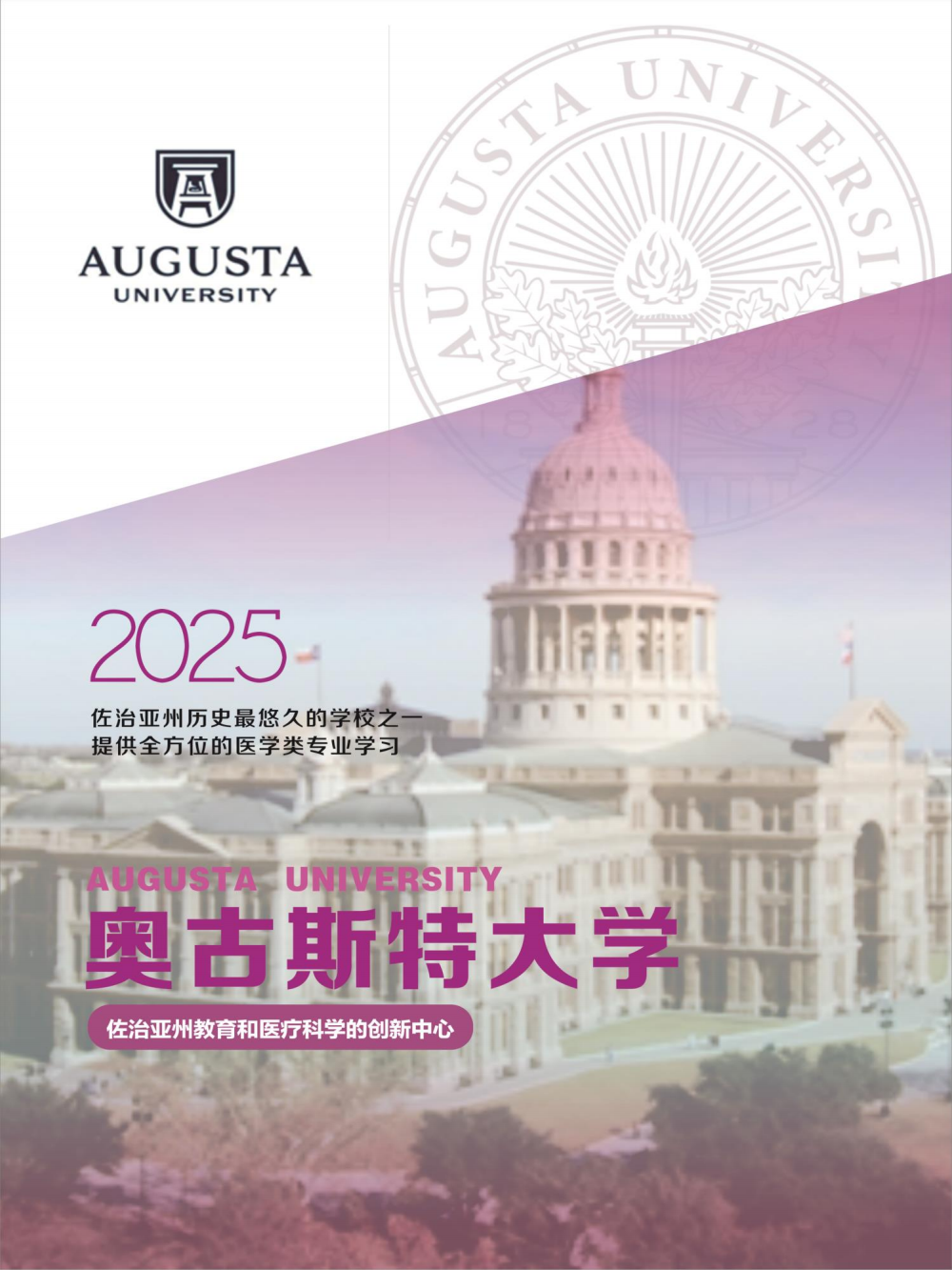 右江民族医学院国际学院国际本科国际本硕连读项目招生简章（2025）