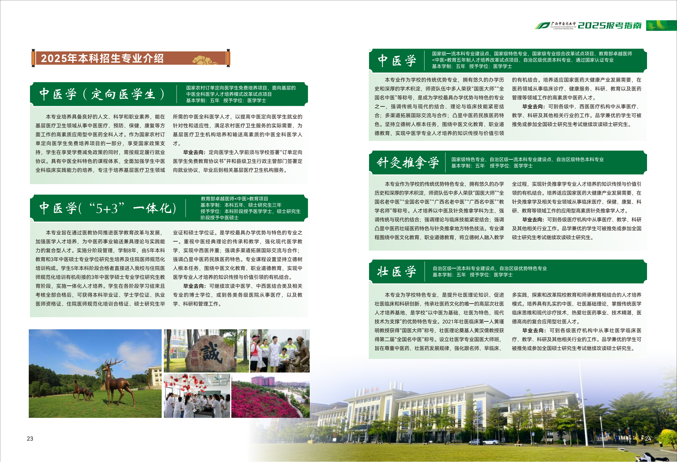 广西中医药大学2025报考指南