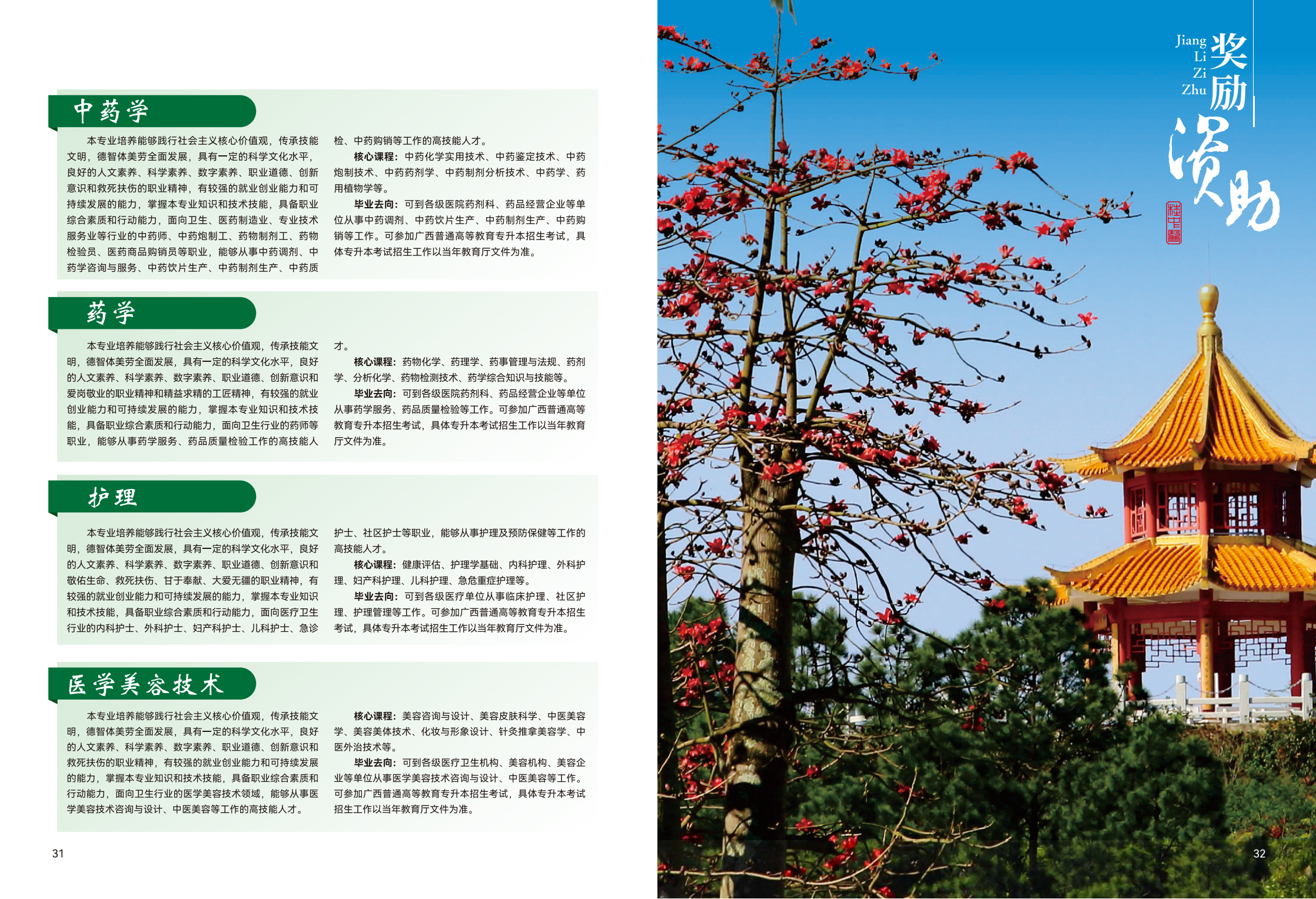 广西中医药大学2025报考指南