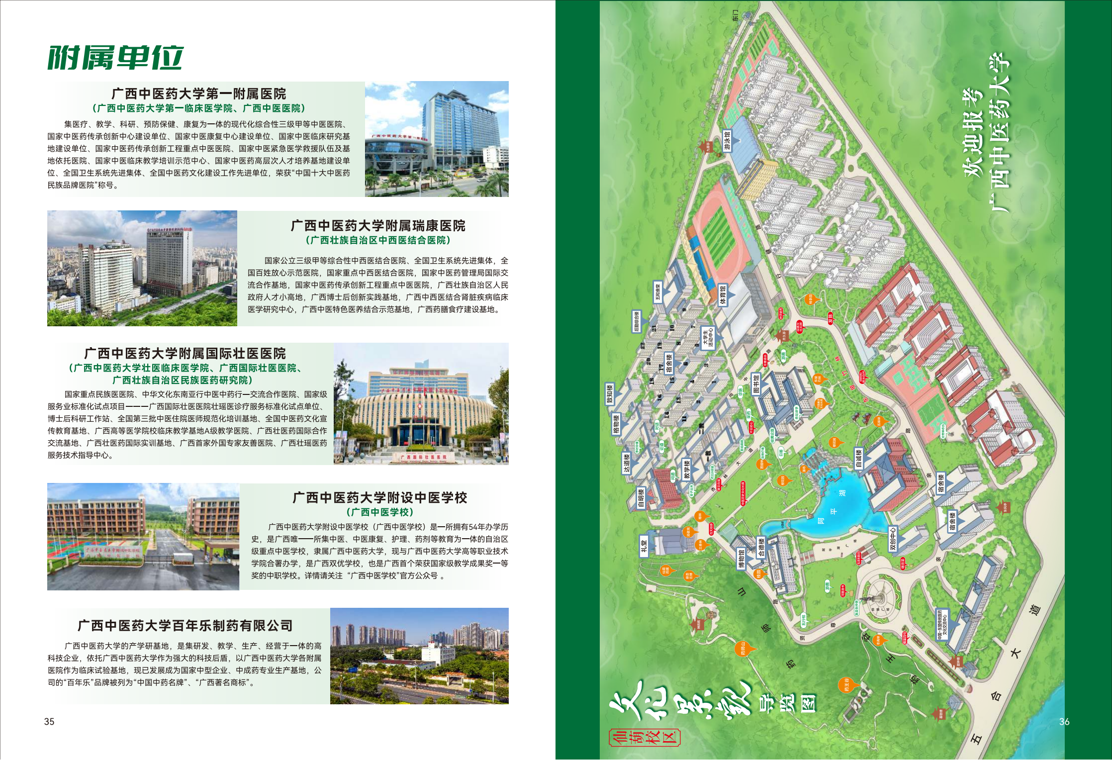 广西中医药大学2025报考指南