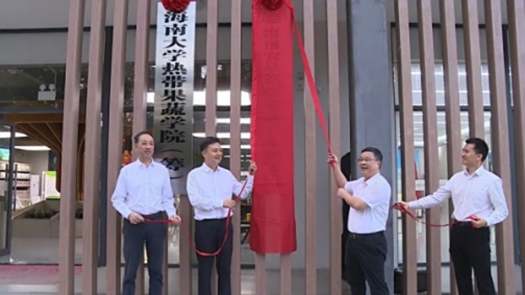 海南大学知识产权研究中心