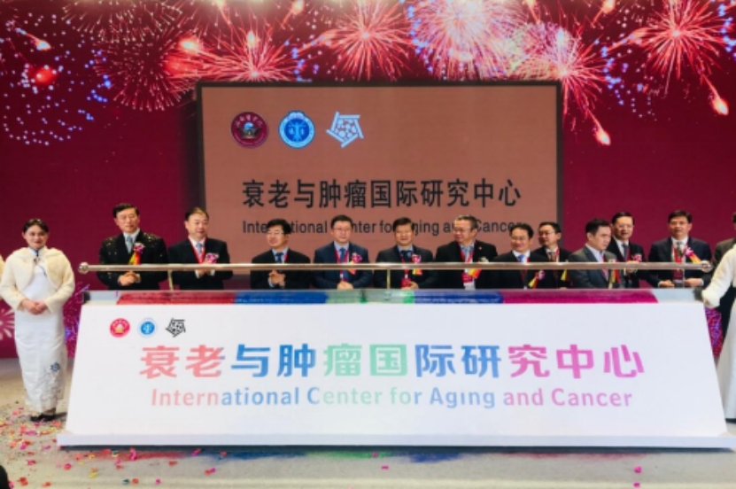 非法人科研机构衰老与肿瘤国际研究中心