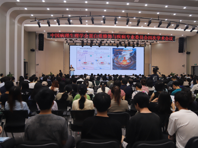 2023年11月，中国病理生理学会蛋白质修饰与疾病专业委员会第四次学术会议在我校成功举办