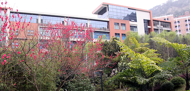 重庆工商大学 - 最美大学