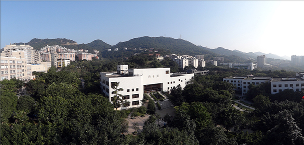 我的大学