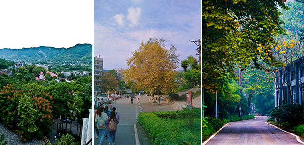 我的大學-大学志