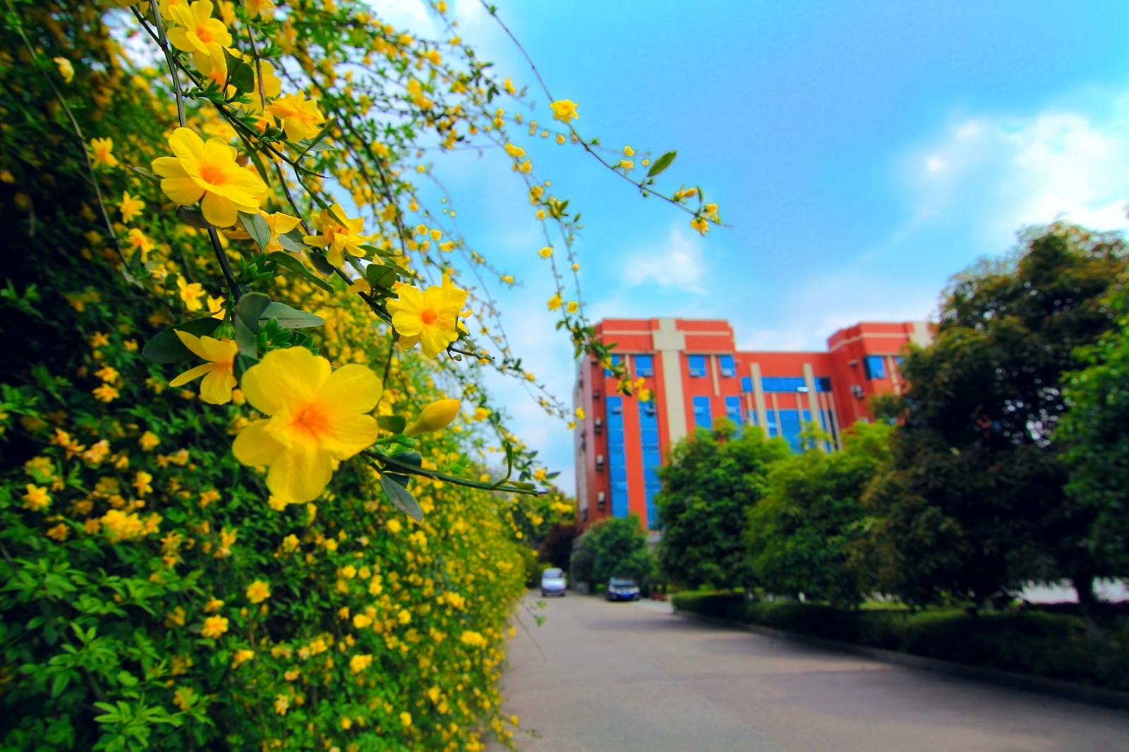 川北医学院 我的大學