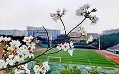 历史沿革（概）校史