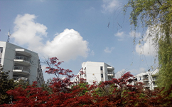 四川现代职业学院 - 我的大学