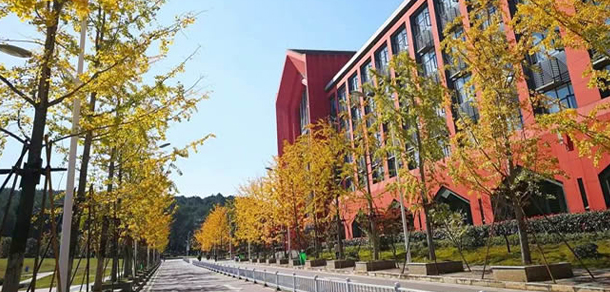 贵州大学 - 最美大学