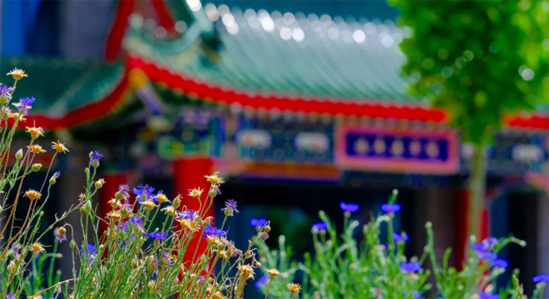 2025年协和班招生启幕