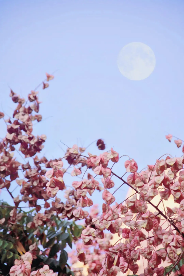 贵州黔南经济学院
