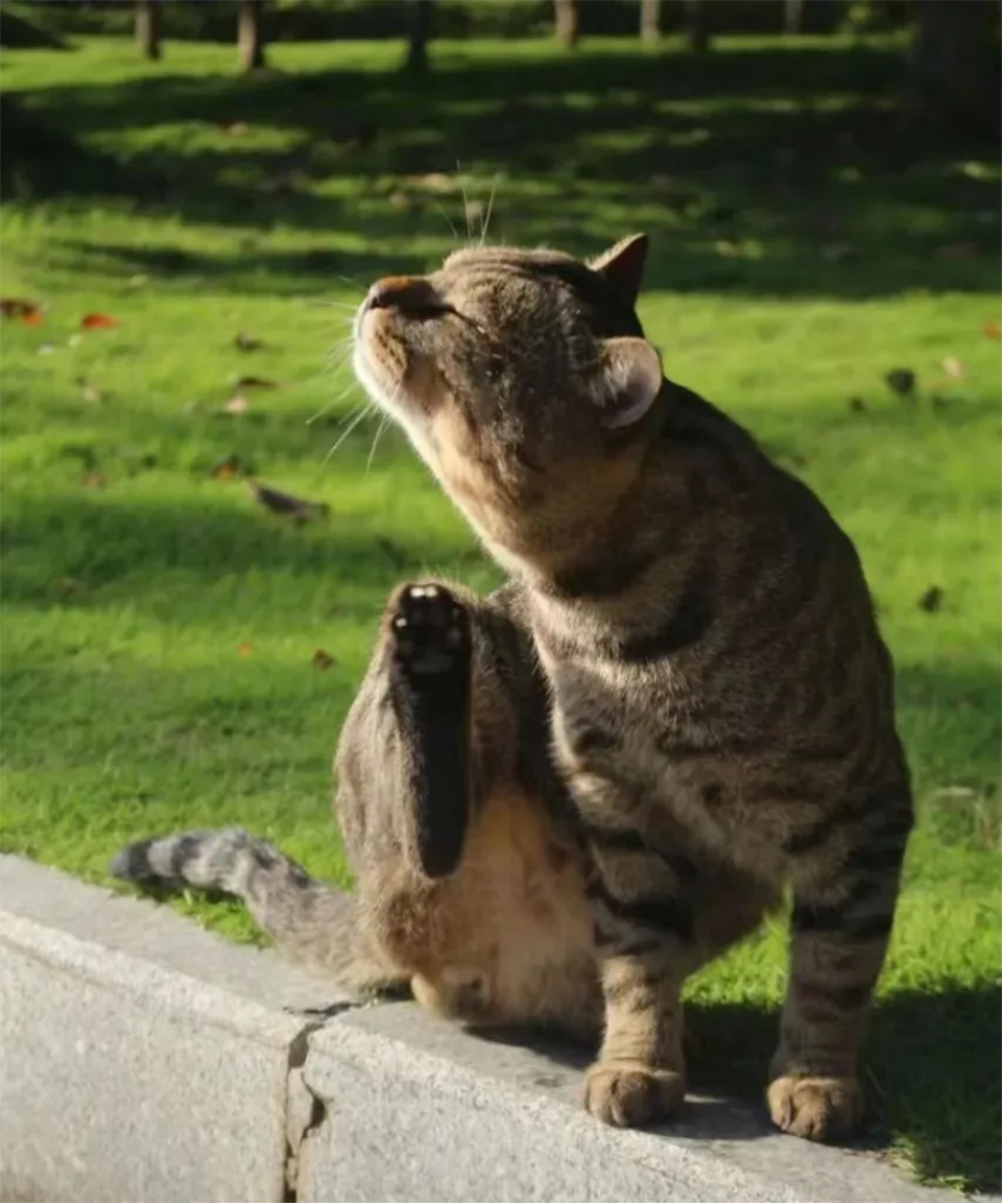 贵州黔南经济学院