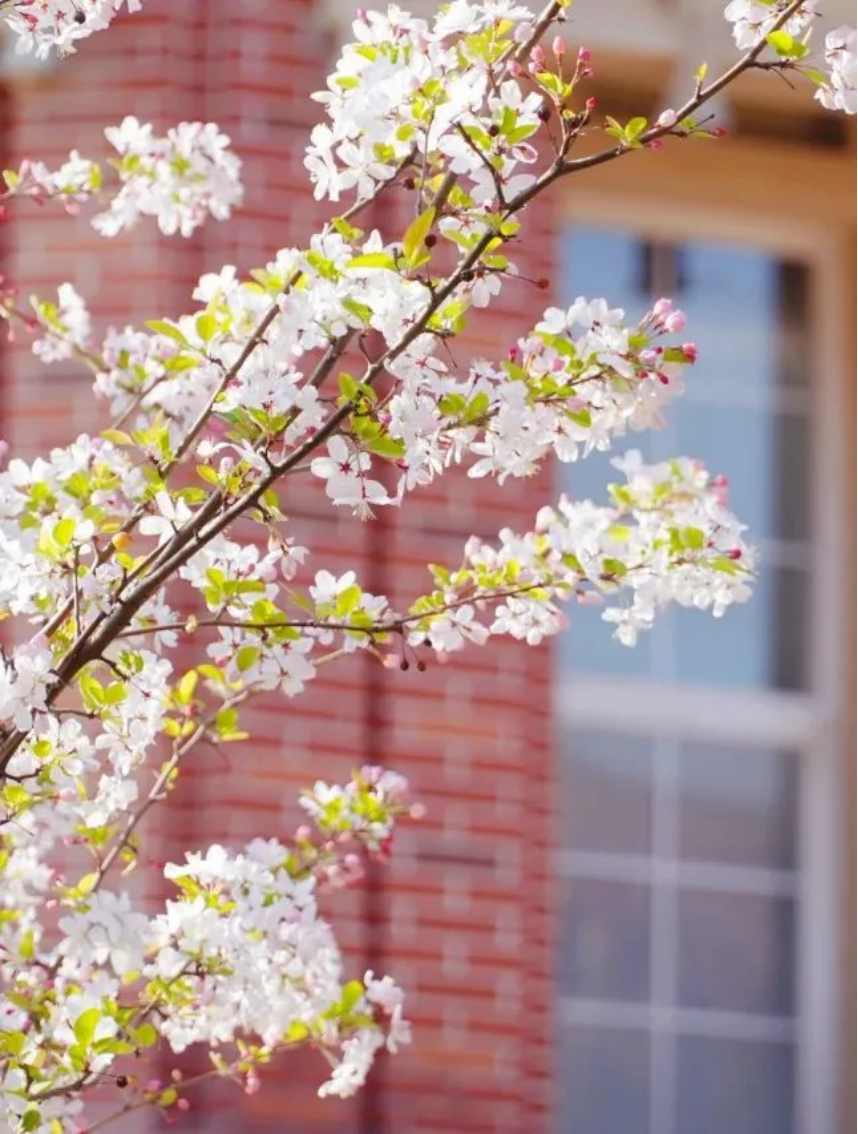 贵州黔南经济学院