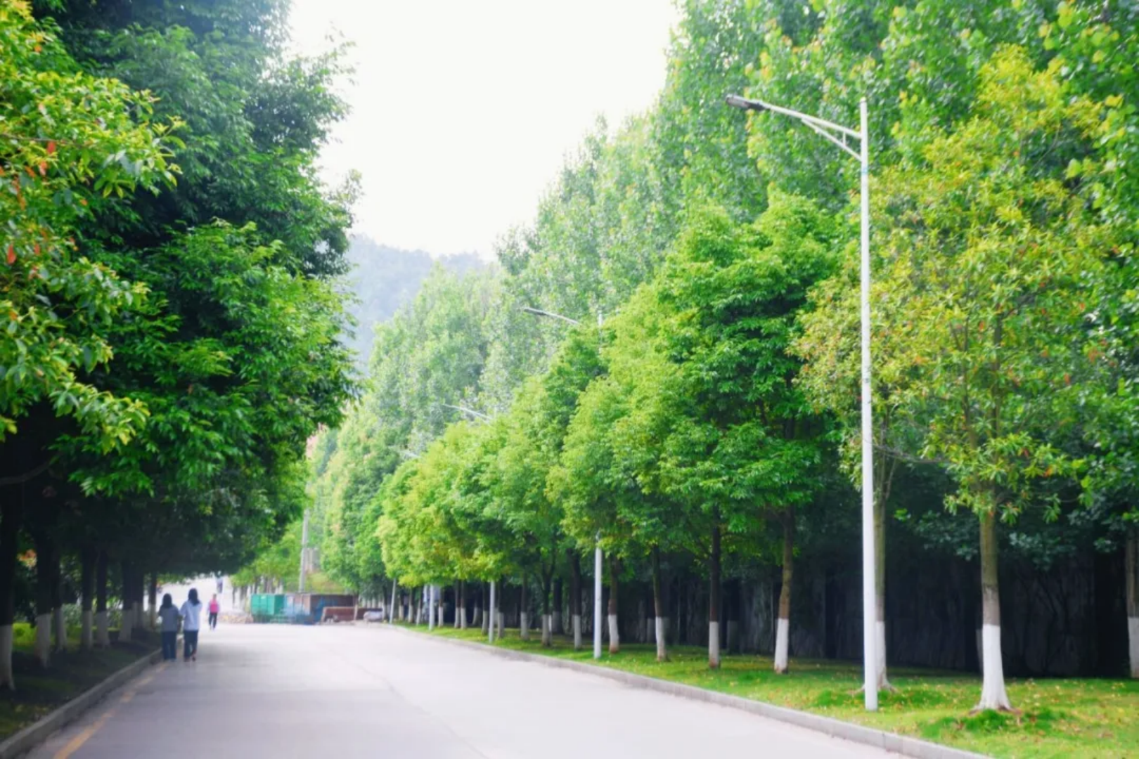 贵州黔南经济学院