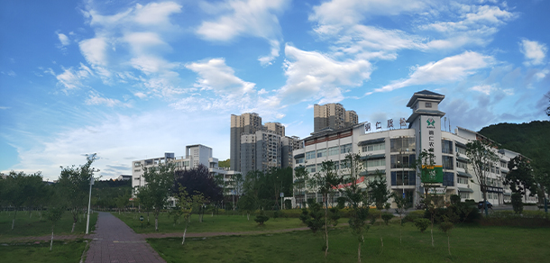 铜仁职业技术大学