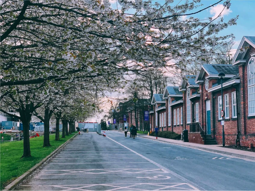 英国利兹贝克特大学