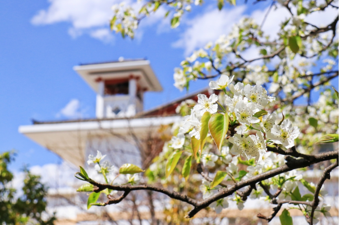 丽江文化旅游学院（原云南大学旅游文化学院）2022年专科招生简章