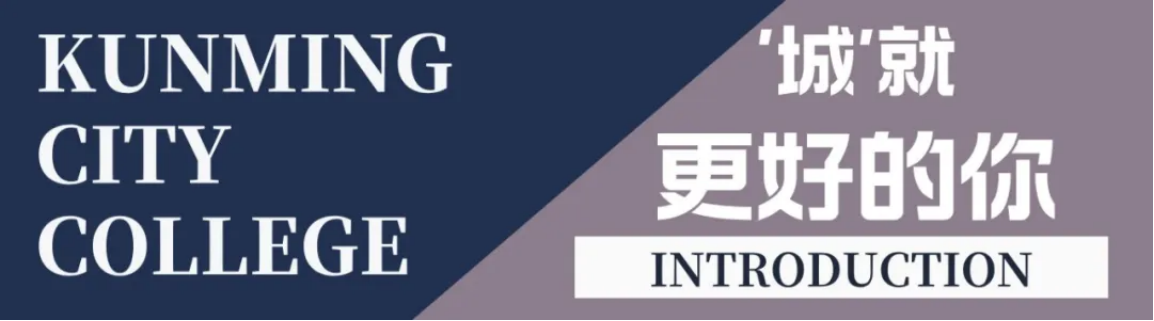 昆明城市学院2025年春招、职教高考招生简章