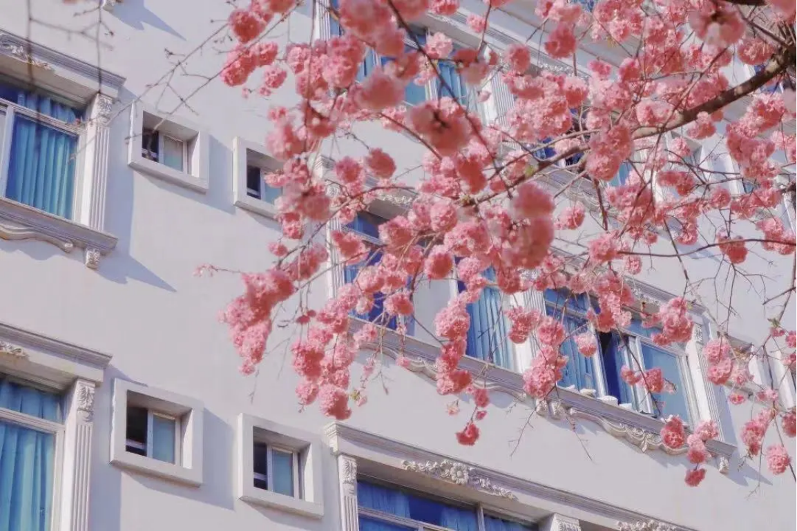 昆明城市学院2025年云南省春季招收普通高中毕业生招生章程