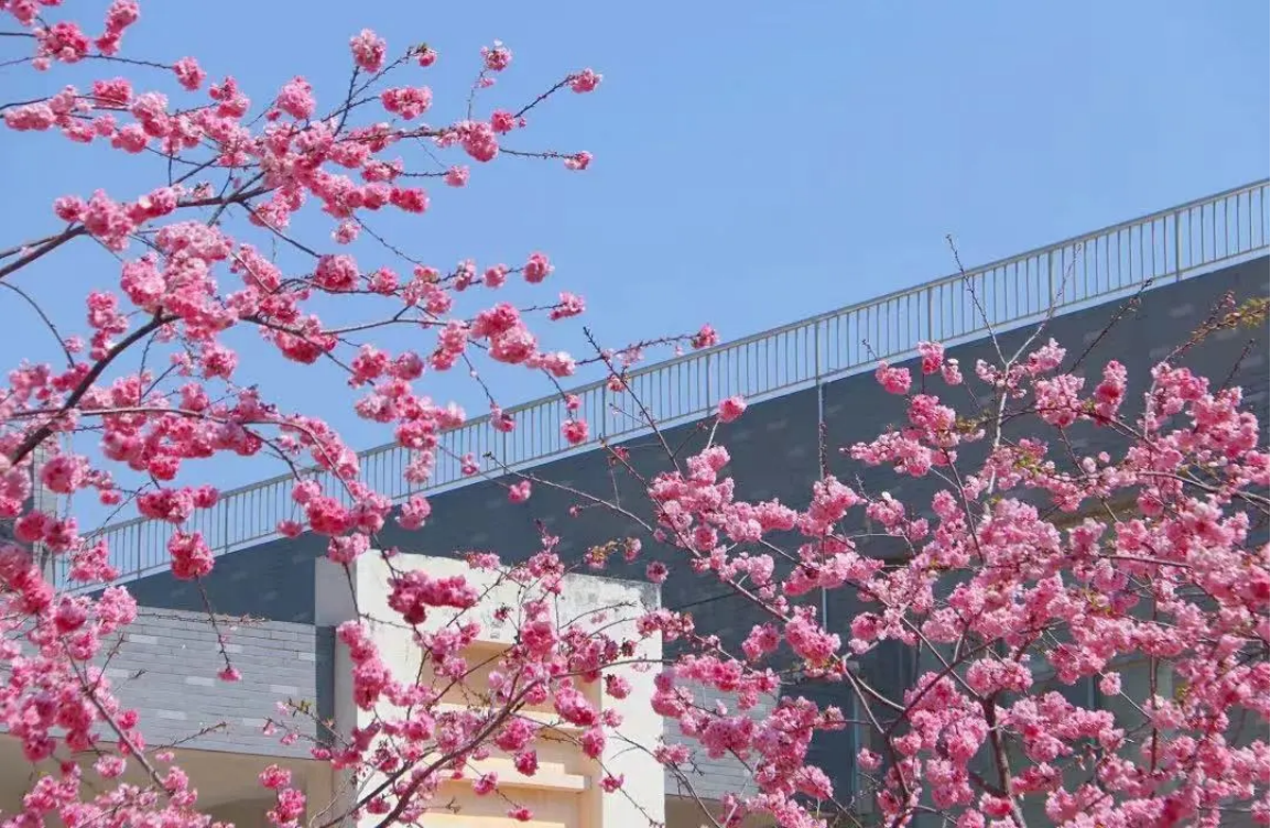 昆明城市学院2025年云南省春季招收普通高中毕业生招生章程