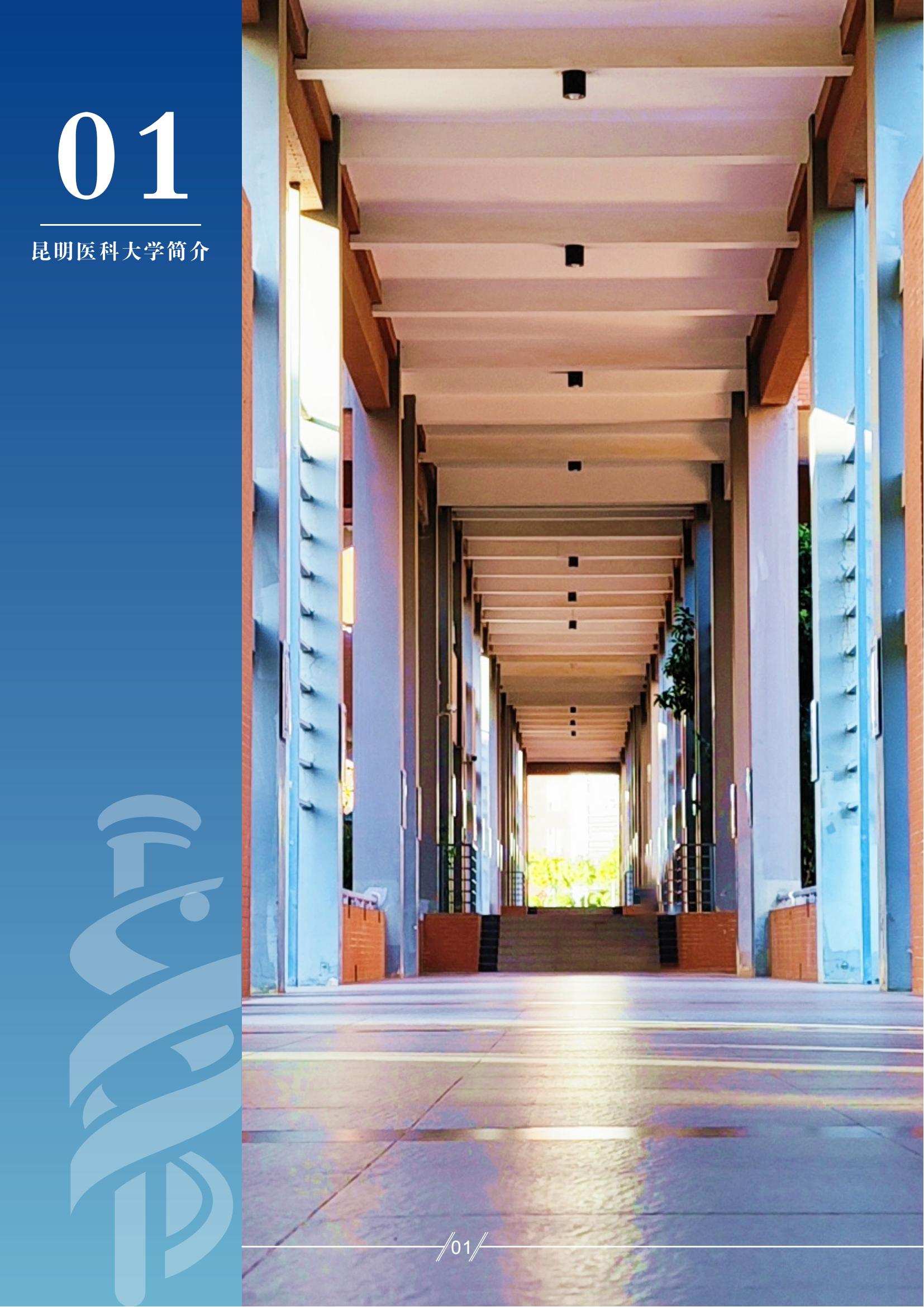 昆明医科大学－2025年招生简章