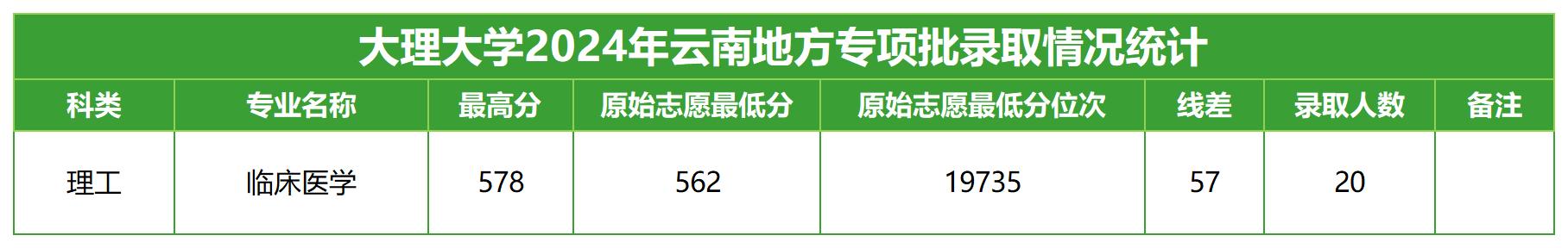 大理大学2024年云南地方专项批录取统计
