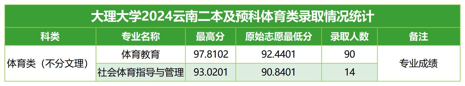 大理大学2024云南二本及预科体育类录取情况统计