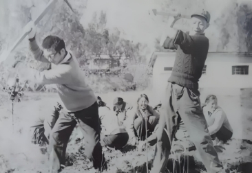 援藏干部与藏族师生同劳动