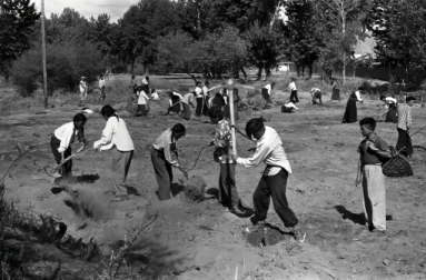 师生开垦田地自给自足