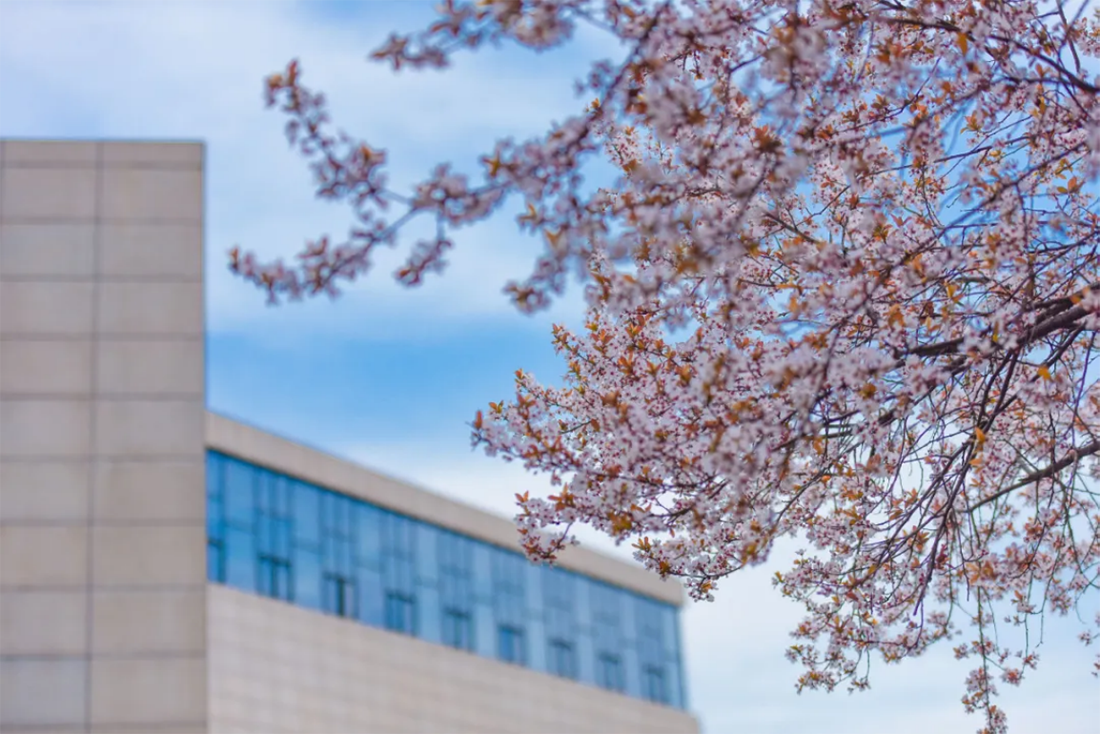 西安欧亚学院2024年高职分类考试招生章程