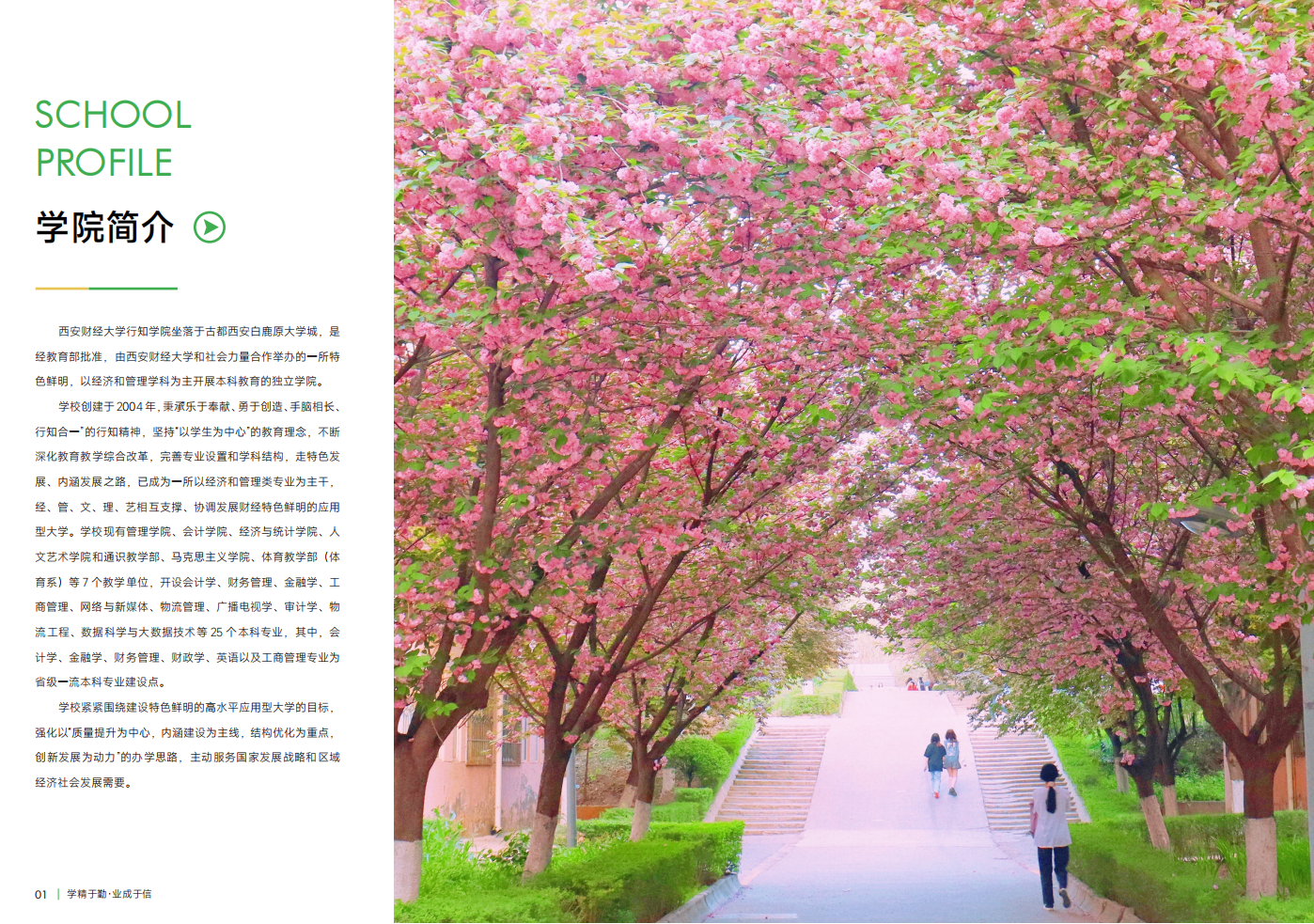 西安财经大学行知学院－2023年招生简章