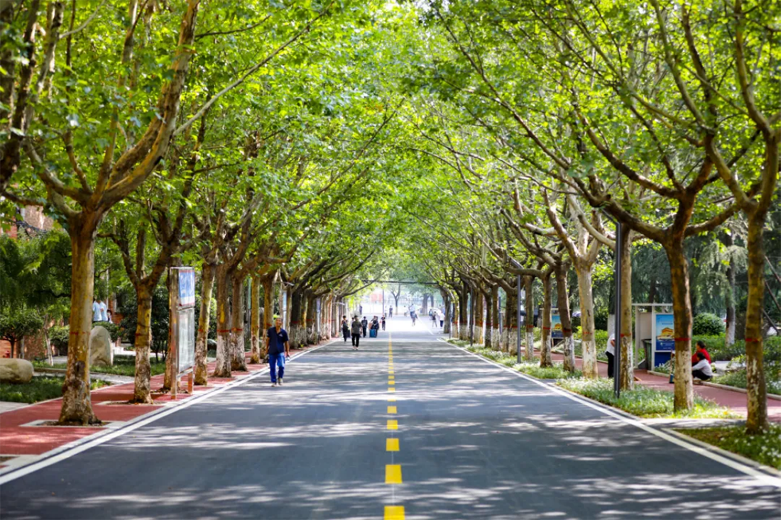 中考生，不必“挤”高考，读五年一贯制专科，让你直通本科！