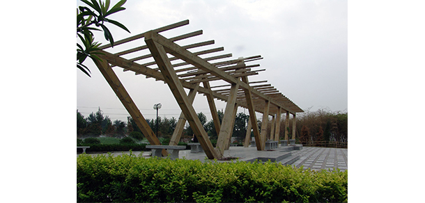 我的大學-大学志