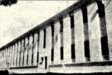 国立兰州大学时期