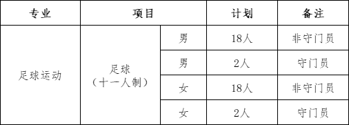 招生项目及计划