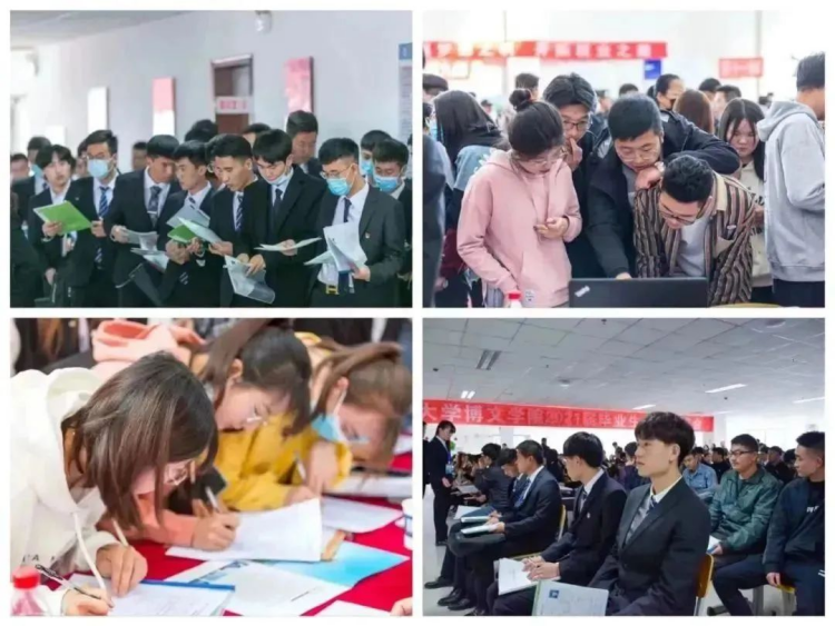 兰州博文科技学院2024年专升本免试生招生简章