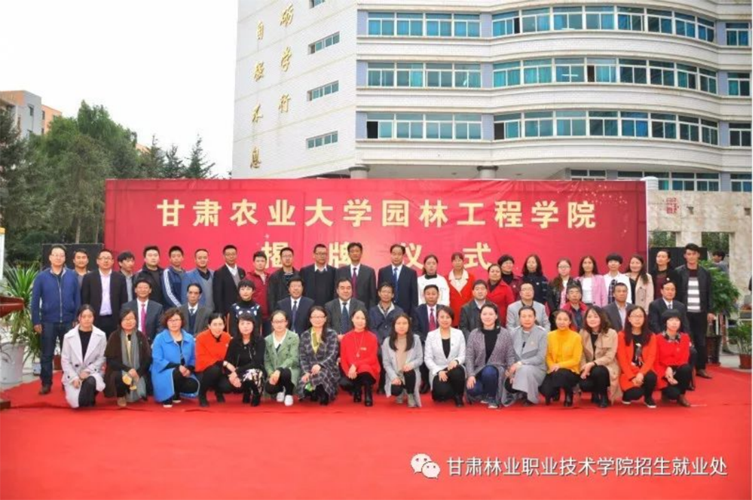 升学途径二：本科教育