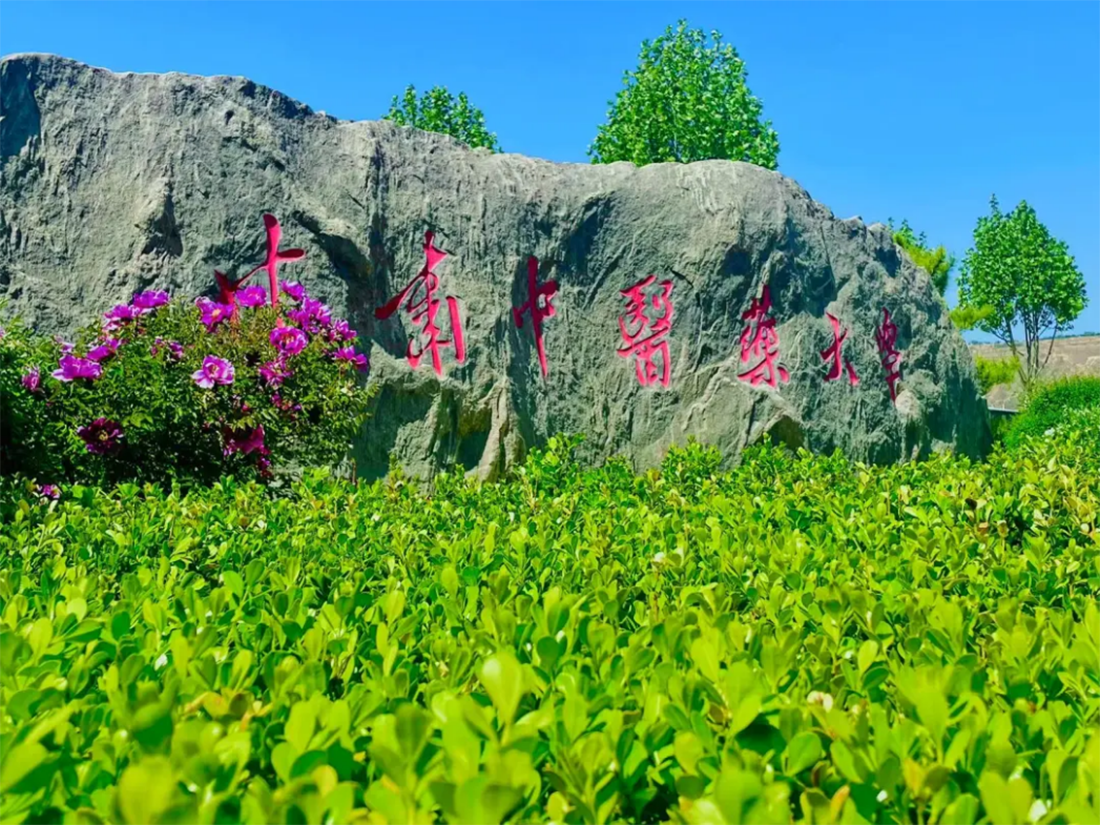 甘肃中医药大学