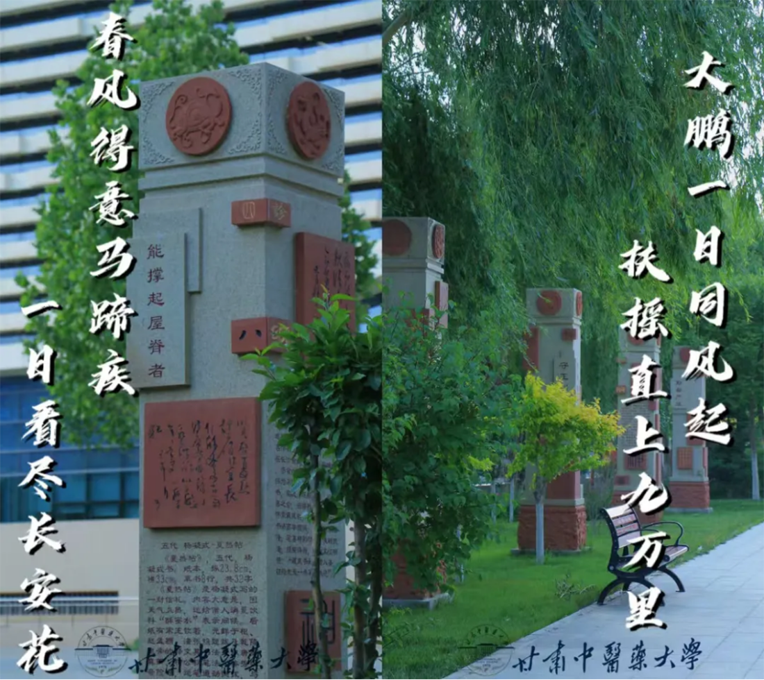 高考倒计时10天｜愿你执笔为剑，不负热血青春！