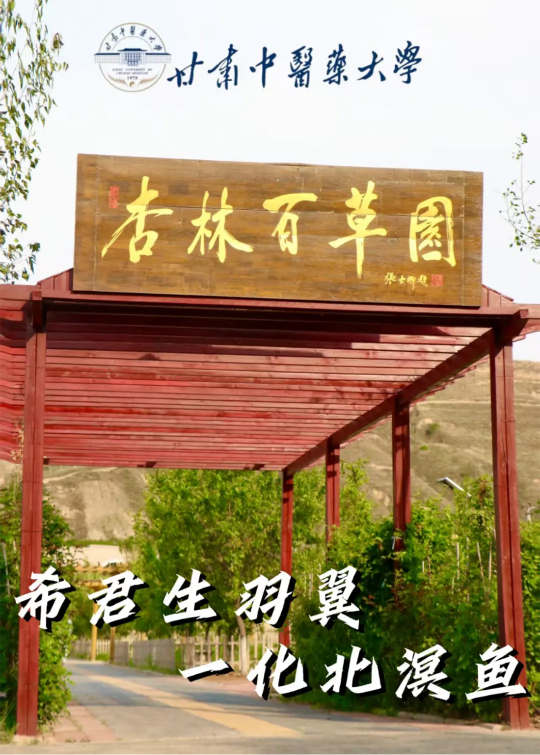 高考倒计时10天｜愿你执笔为剑，不负热血青春！