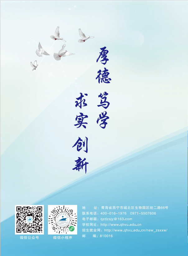青海职业技术大学2025年招生简章