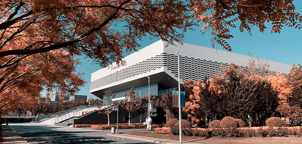 我的大學-大学志