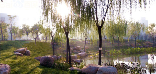 我的大學-大学志