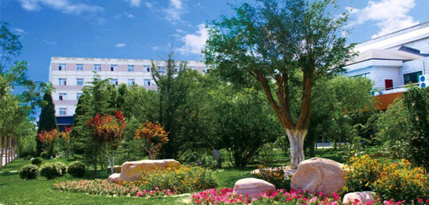 我的大學-大学志