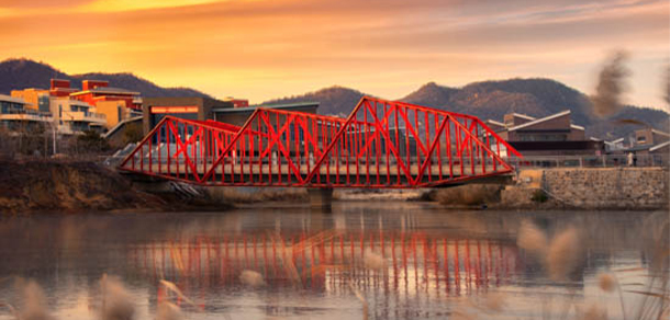 我的大學-大学志